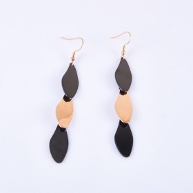 Fancy Two-tone Earring with Stainless Steel