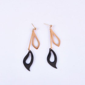 Fancy Two-tone Earring with Stainless Steel