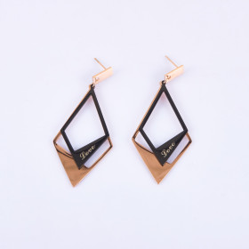 Fancy Two-tone Earring with Stainless Steel