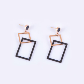Fancy Two-tone Earring with Stainless Steel